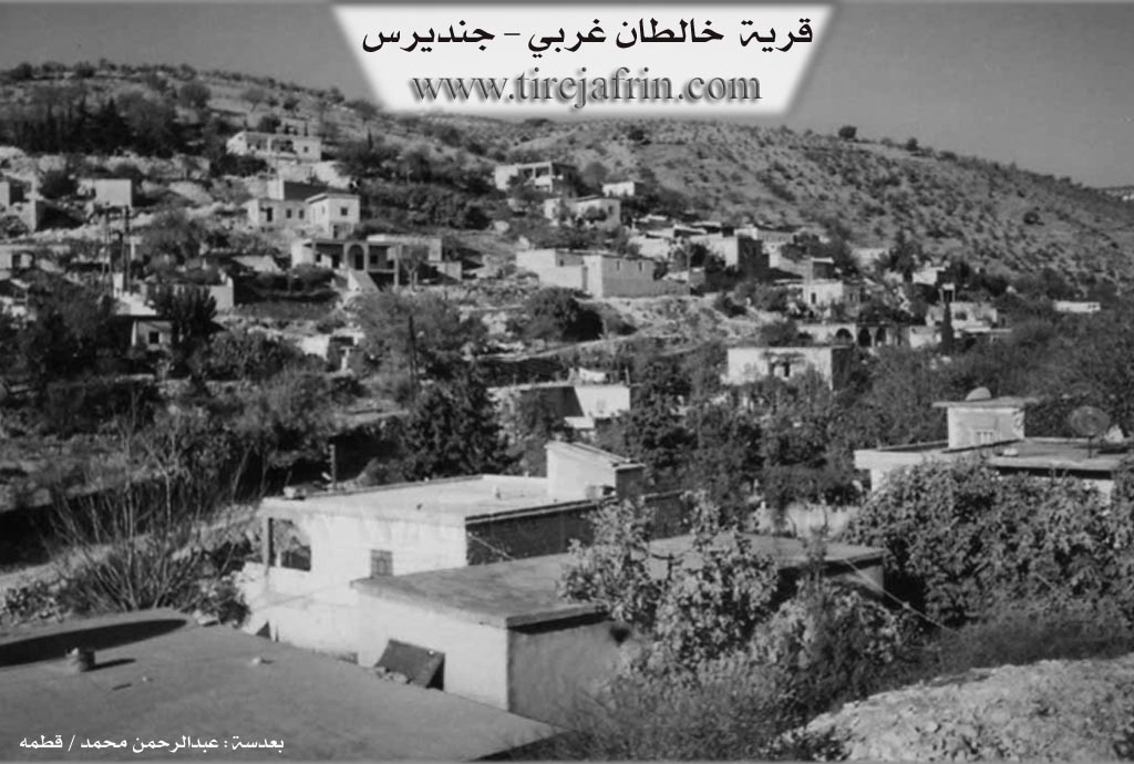 Photo of Xeltê Xerbî